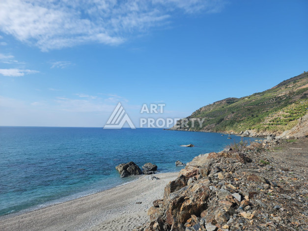 Отдельно стоящая триплекс вилла на берегу Средиземного моря – Газипаша, открыт для ВНЖ - Ракурс 46