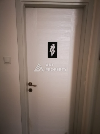 Квартира в историческом месте с планировкой 3+1 - Ракурс 10