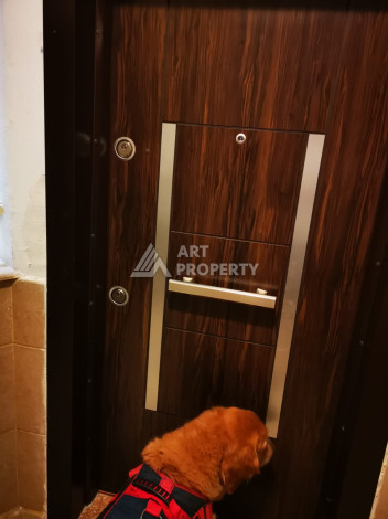 Квартира в историческом месте с планировкой 3+1 - Ракурс 12