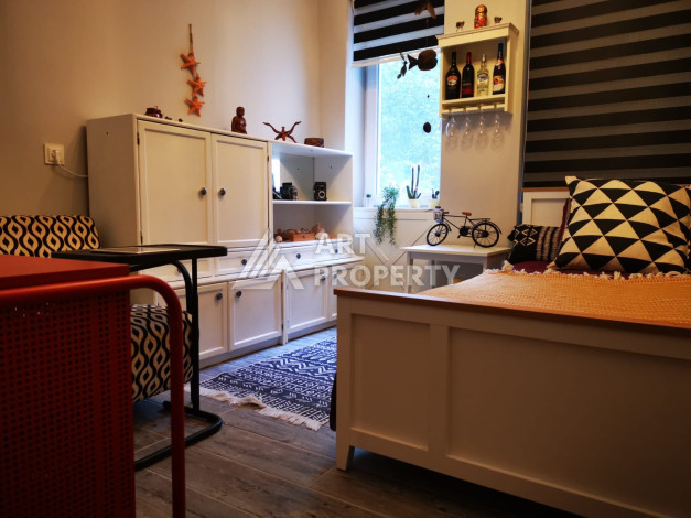 Квартира в историческом месте с планировкой 3+1 - Ракурс 14