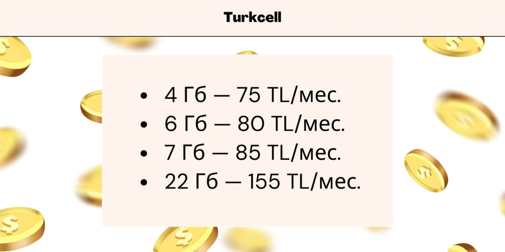 Домашний и мобильный интернет в Турции: провайдеры, тарифы и скорость