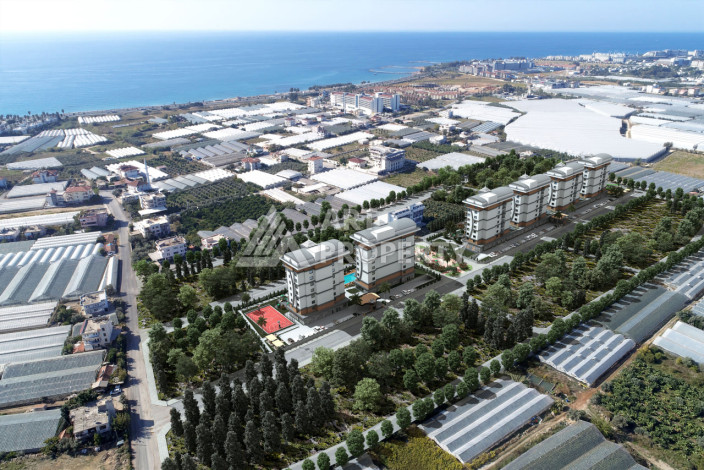 Новый масштабный проект в Паяллар - Ракурс 12